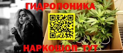 сатива Комсомольск-на-Амуре
